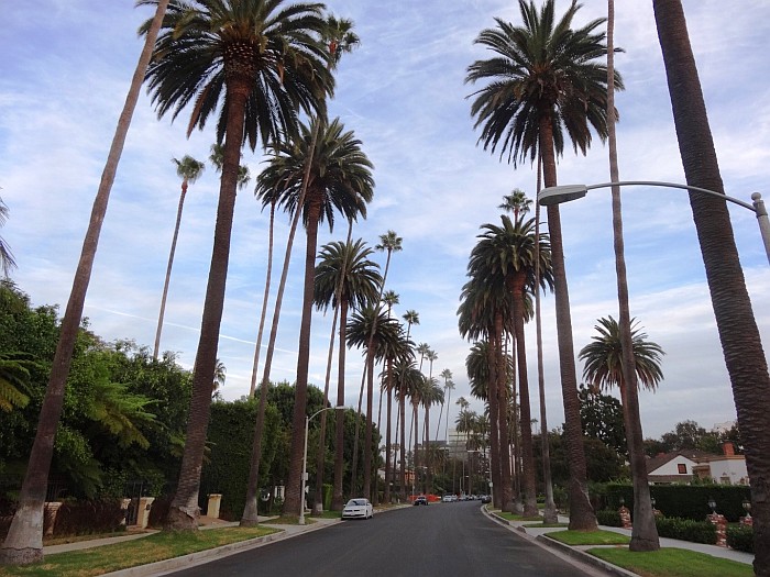 Fun things to do in Los Angeles - A tour of Beverly Hills is a must