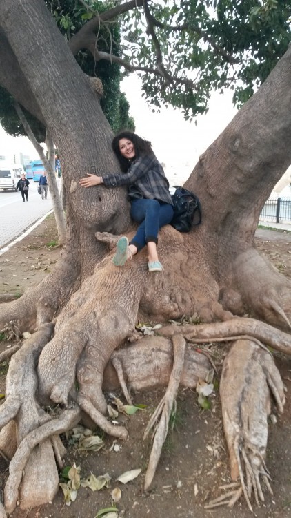 Sedef is hugging a tree because we love trees. ( Remember Gezi Park? :) )