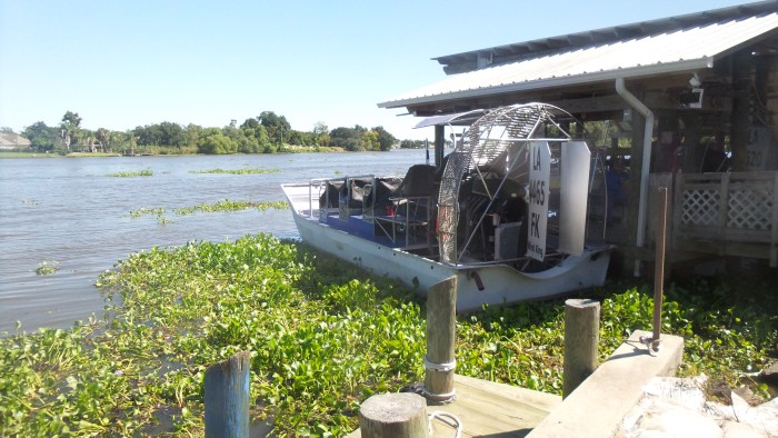 New Orleans - Airboat swamp tour