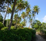 You can discover Boipeba on foot