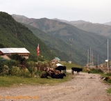 Georgian roads are in bad conditions and often occupied by cows