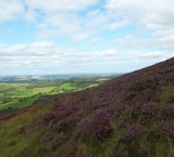 Sugar Loaf, Wicklow mountains