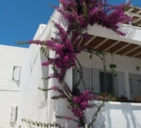 That's why I love Greek Houses very much. Paros