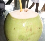 Young coconut