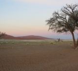 200603_namibija_0033