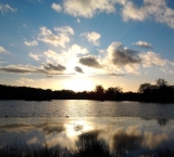 sunset-in-richmond-park-london