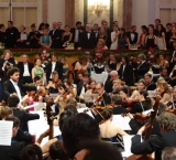 a Viennese orchestra