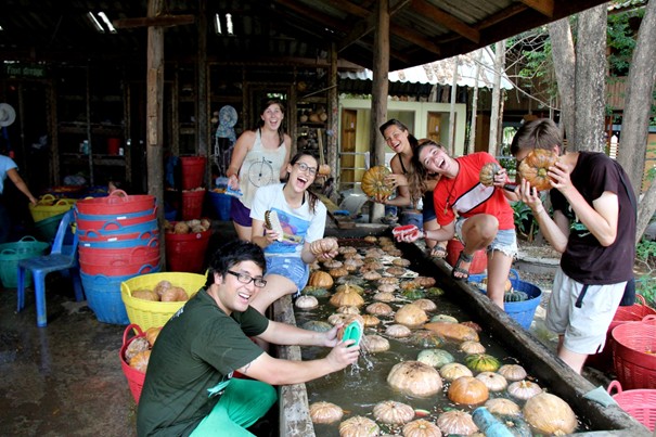 Elephant Nature park Chiang Mai - Happiness of volunteers while preparing food for elephants