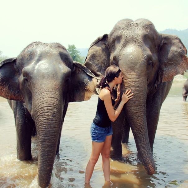 Elephant Nature park Chiang Mai - me kissing the trunk of a elephant who was blinded. She might not see but she sure can feel. 