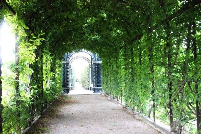 Get lost in the Schonbrunn Palace Vienna gardens