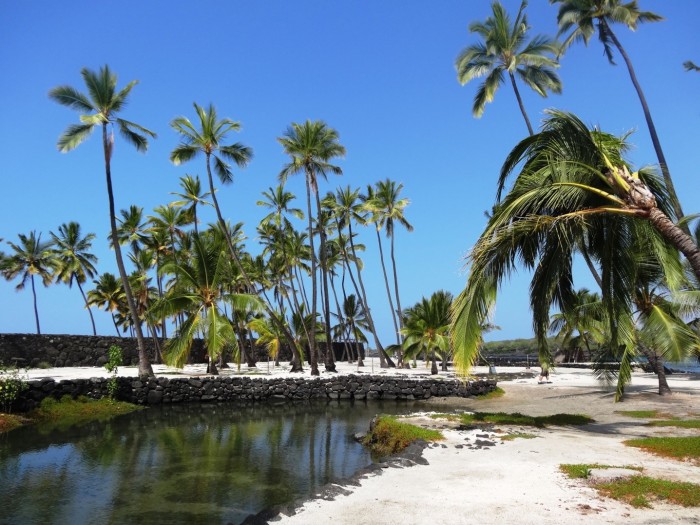 The Big Island Hawaii was simply incredible