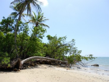 Boipeba island, the best kept secret of Brazil