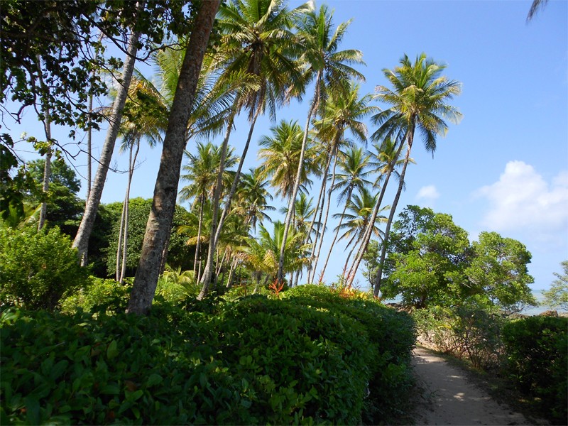 You can discover Boipeba on foot