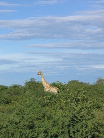 200603_Namibija_0164