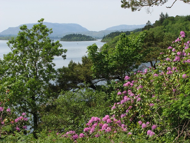 Lake from the castle park