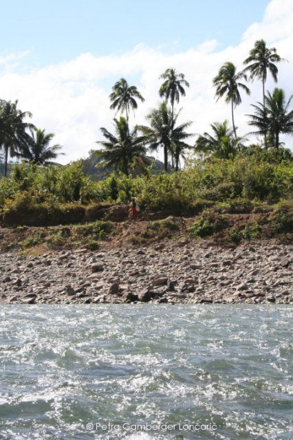 Cost of river Navua