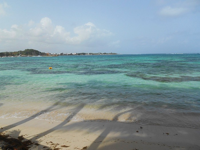Top 5 things to do in Guadeloupe