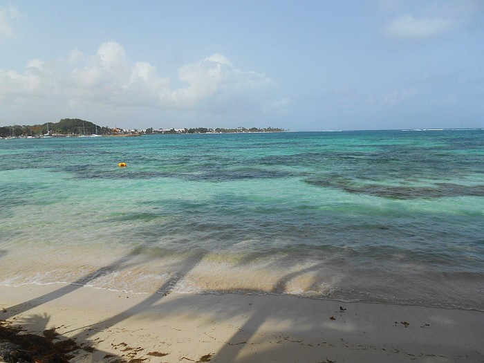 Guadeloupe beach