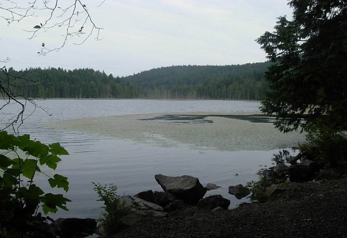 We took a short hike (maybe half an hour) through mostly maple tree forest trail to Killarney lake