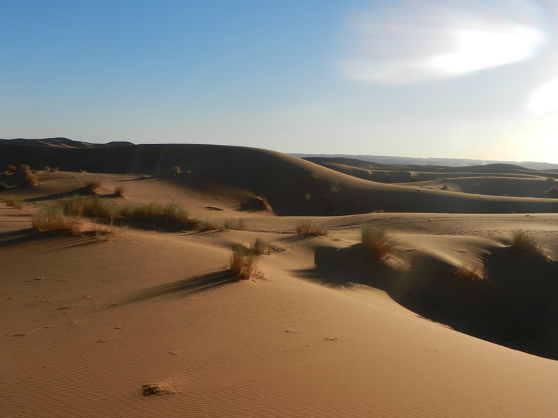 Erg Chebbi desert