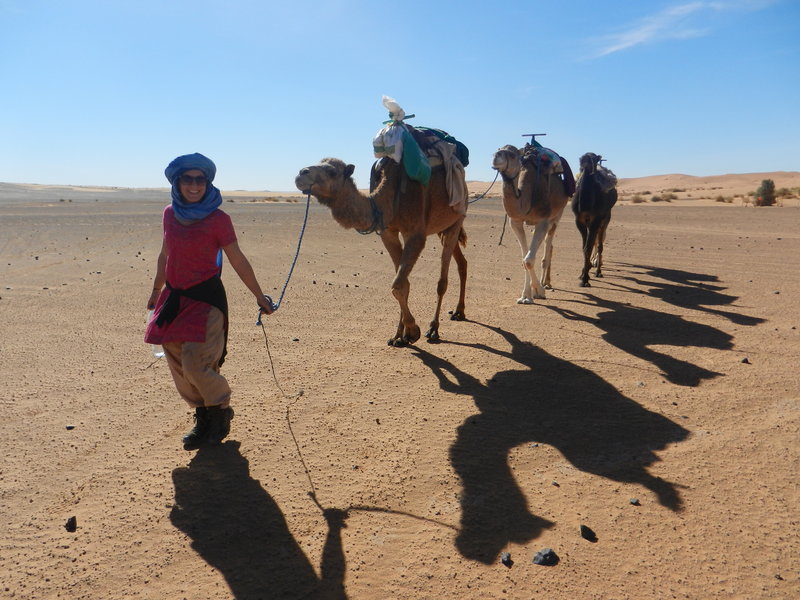 Leading the camels to the oasis