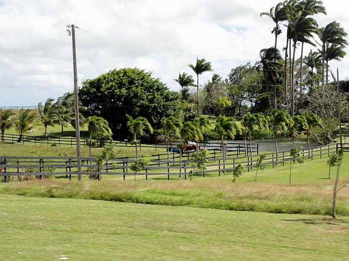 Interior of Barbados pictured on a way to Bathscheba