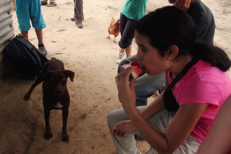 dog Josefa - here he is with Anna, eyes on the target