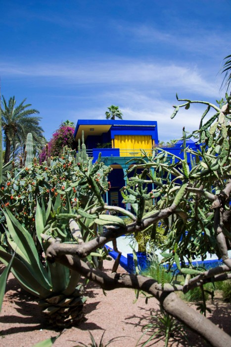 Jardin Majorelle / Photo: Nastja Cernos