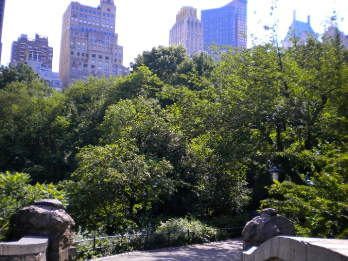 Manhattan - Central Park