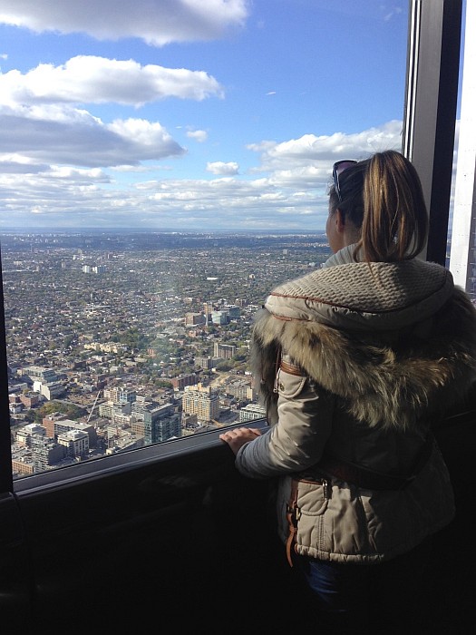 View from CN Tower