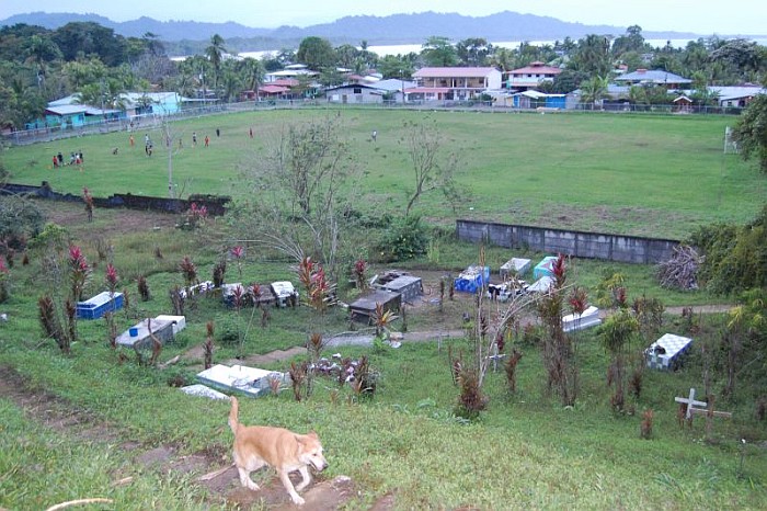 Our dog Coco, local cemetery and football pitch