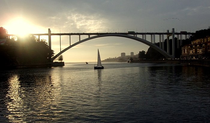 Ponte da Arrábida bridge