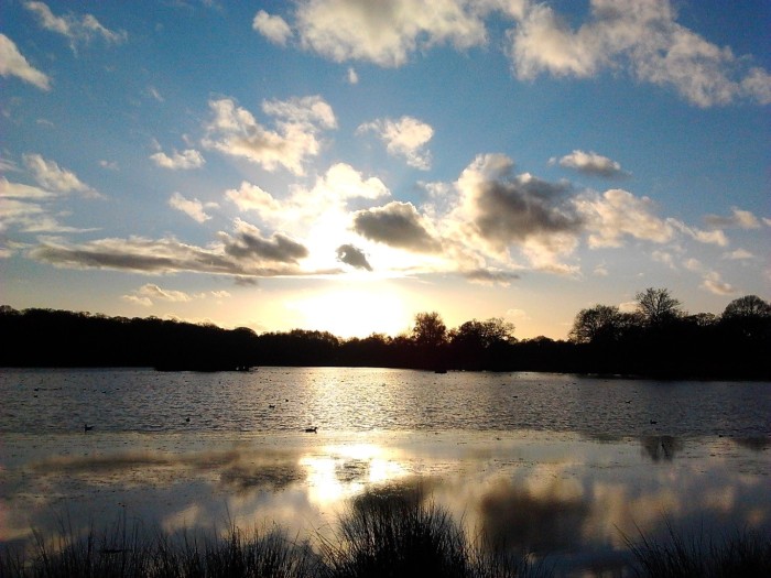 Sunset in Richmond Park London