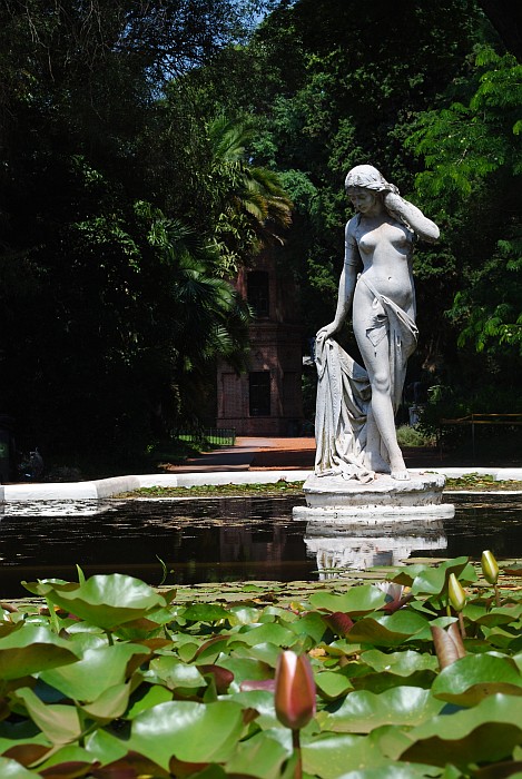 a detail from Botanical Garden in Palermo