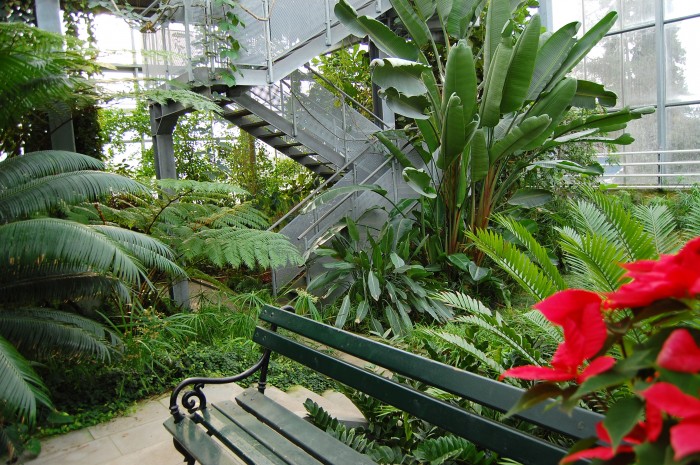 View from the entrance of the Botanical Gardens