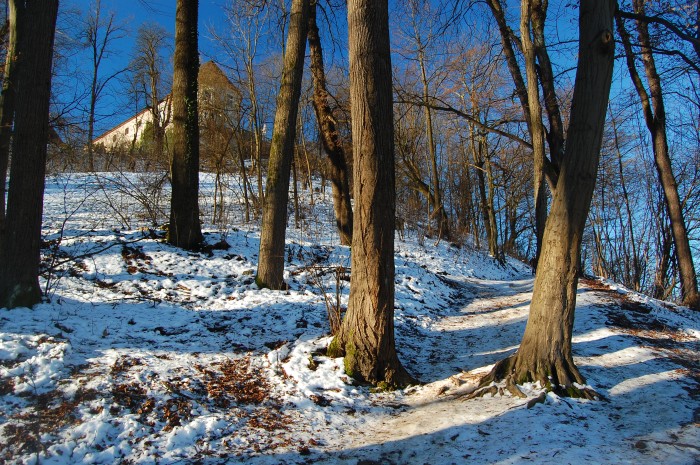 The path I chose was particularly icy.