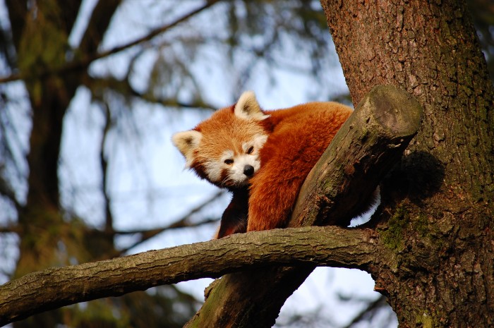 Ljubljana Zoo 4