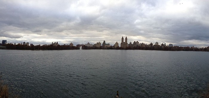 Central park lake view
