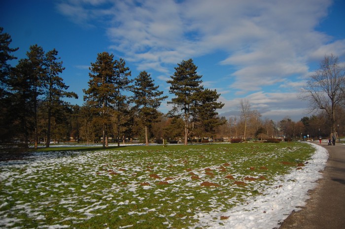 Tivoli Park impresses even on a sub zero winter morning.