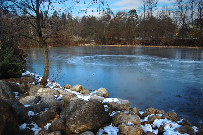 The Tivoli Park Pond