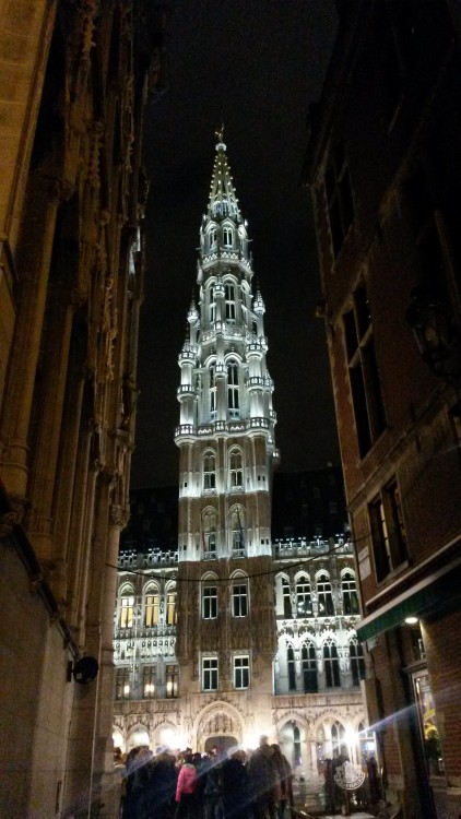 Grote Markt (Grand Place) by night, Brussels
