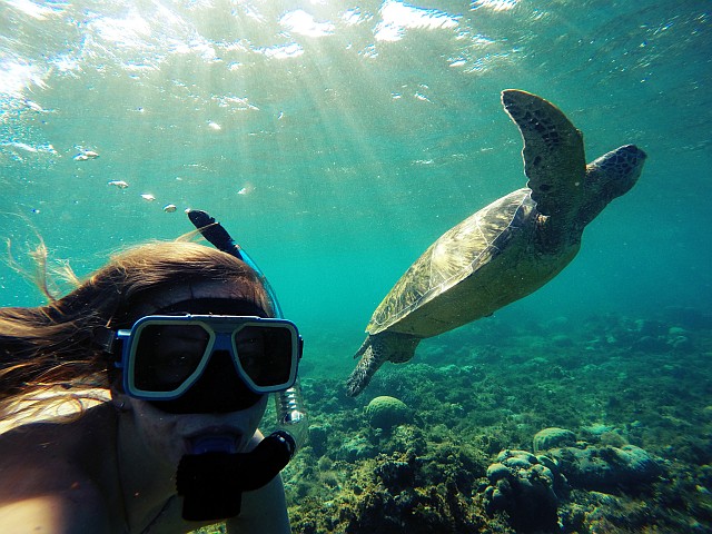 Apo island Philippines