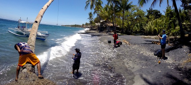 Apo island