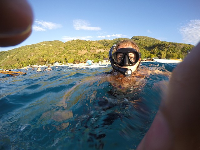 Swimming with Whale Sharks