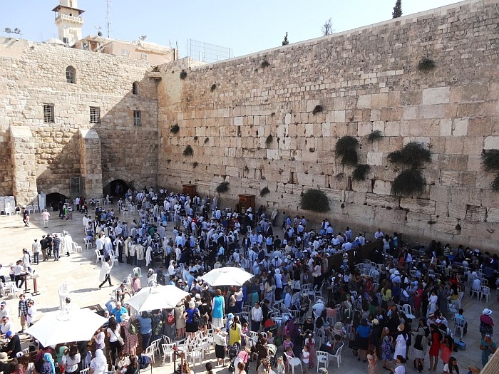 Jews praying at the Western Wall