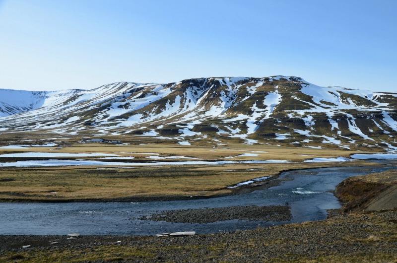 Spring landscape