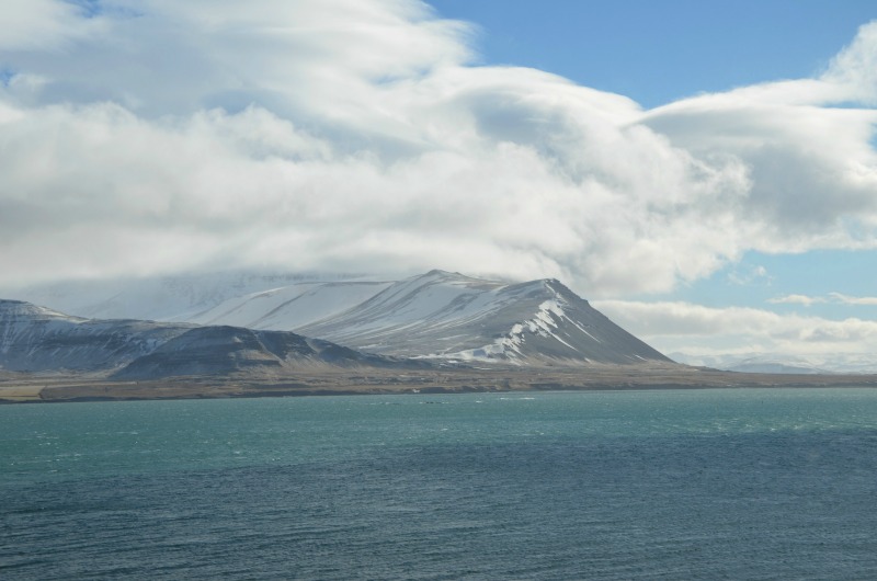 Fjord landscape