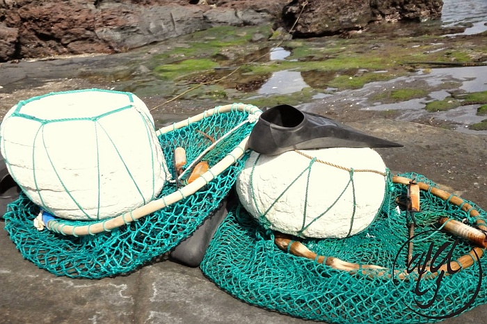 Women Divers on Jeju Island  - South Korea