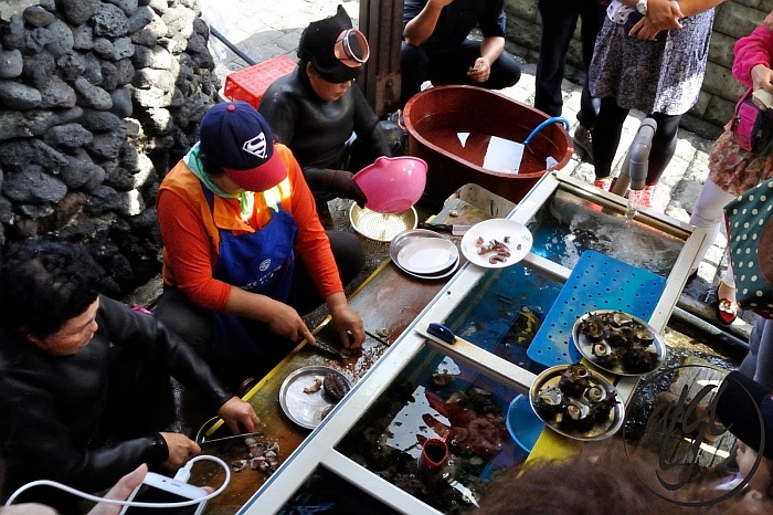 Women Divers on Jeju Island  - South Korea