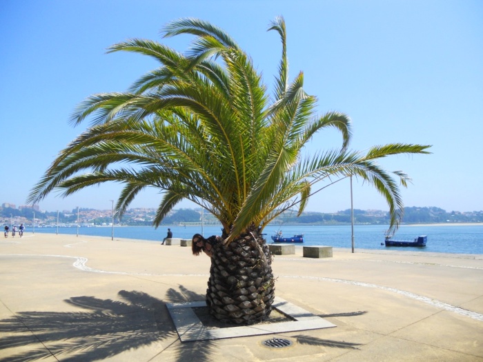 While walking along the beach in Porto